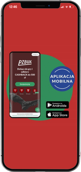 Aplikacja-mobilna-Pzbuk-iOS-600x600sa